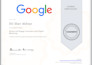 setup and manage google ads campaigns professionally